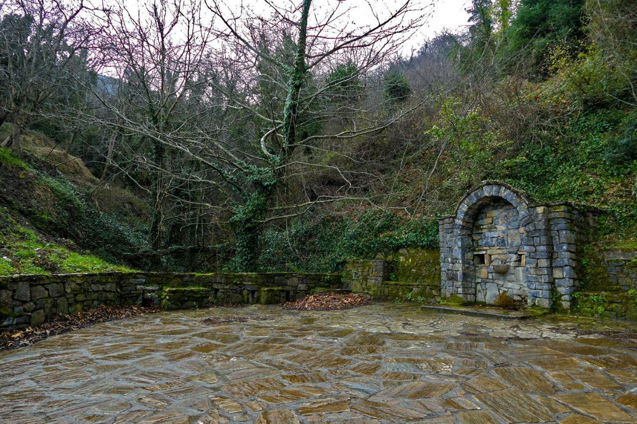 Antoniou Guesthouse Kastanitsa Esterno foto